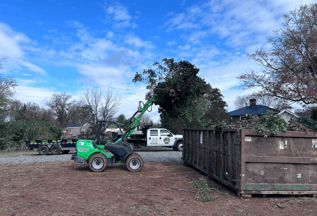lot clearing service